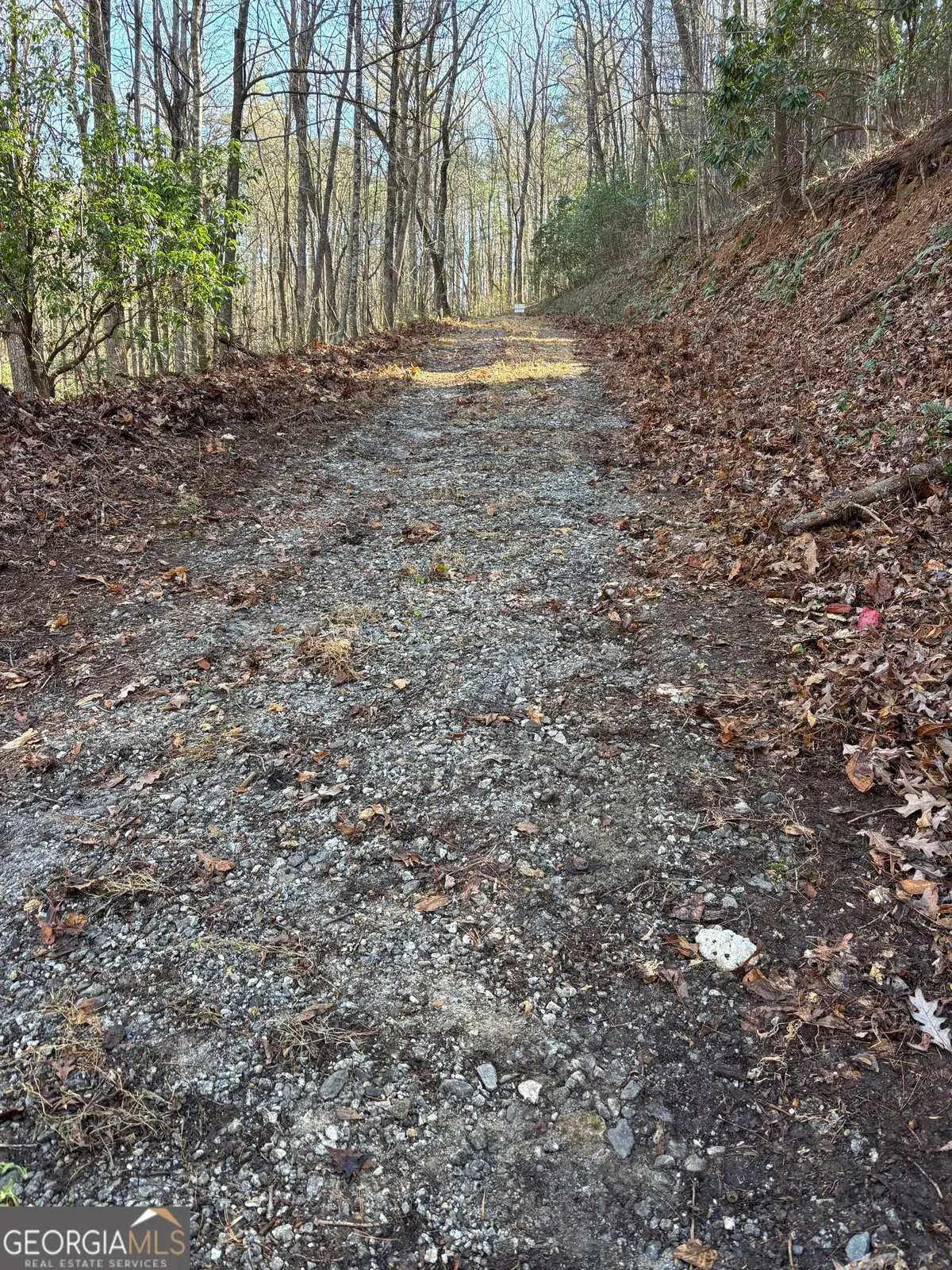 0 Amaryllis Lane, Tiger, GA 30576 - Image #1