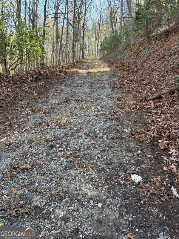 0 Amaryllis Lane, Tiger, GA 30576