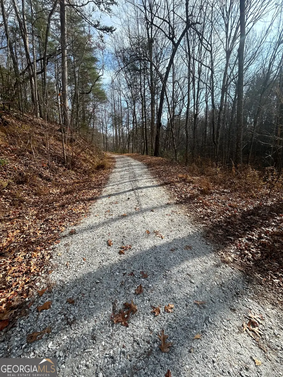 0 Amaryllis Lane, Tiger, GA 30576 - Image #2