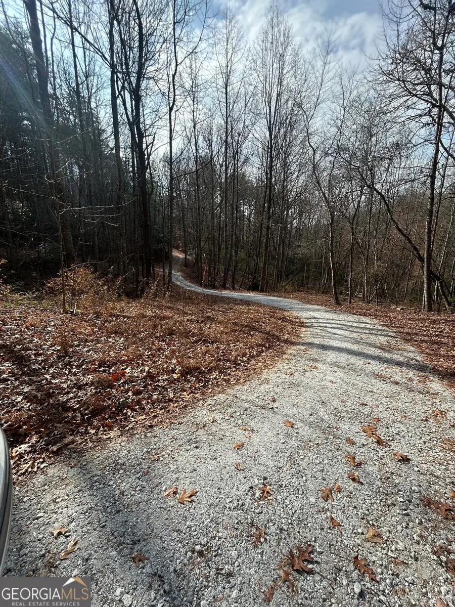 0 Amaryllis Lane, Tiger, GA 30576 - Image #3