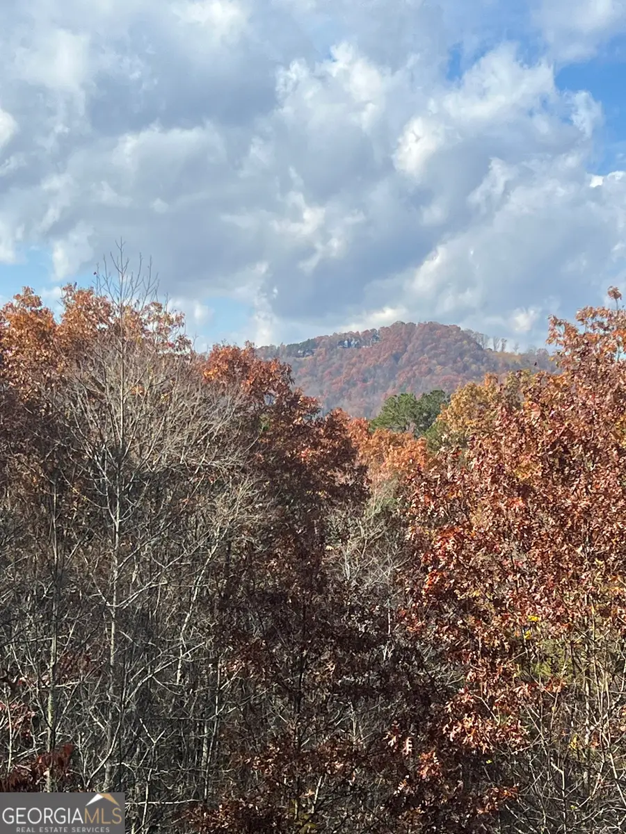 0 Lakota Lane, Mineral Bluff, GA 30559 - Image #2