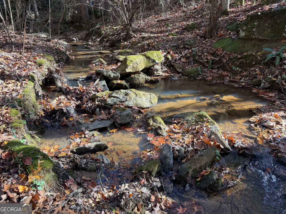 0 Thurman Baccus Road, Social Circle, GA 30025 - Image #1