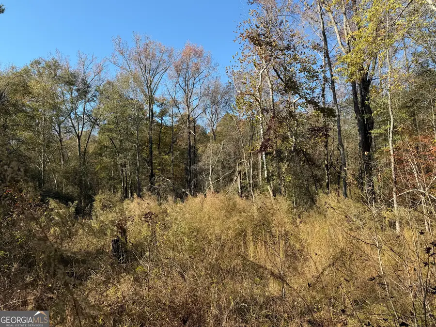 0 Thurman Baccus Road, Social Circle, GA 30025 - Image #2