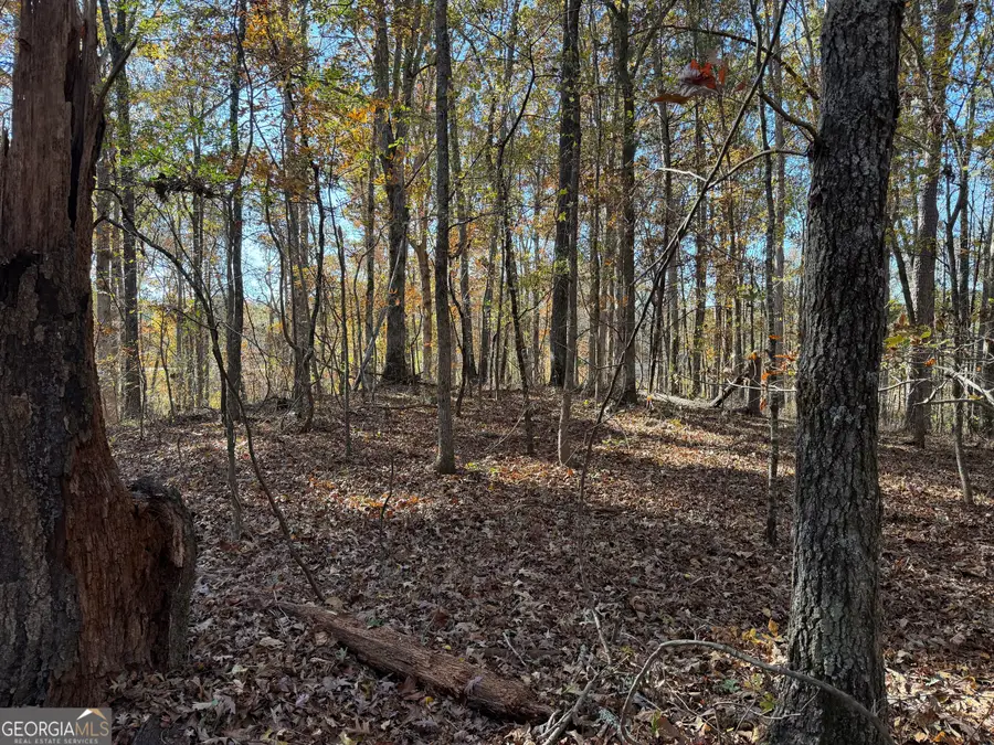 0 Thurman Baccus Road, Social Circle, GA 30025 - Image #3