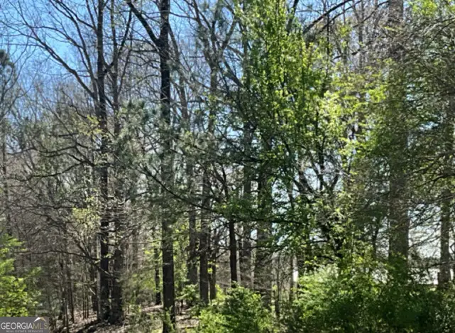 0 Double Bridges Road, Winterville, GA 30683 - Image #1