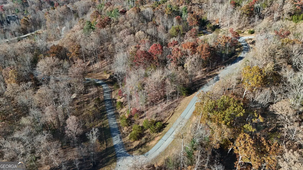 LOT 196 Springwinds Drive, Cleveland, GA 30528 - Image #1