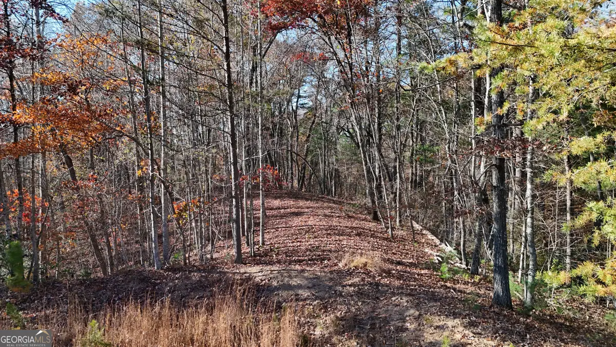 LOT 197 Springwinds Drive, Cleveland, GA 30528 - Image #1
