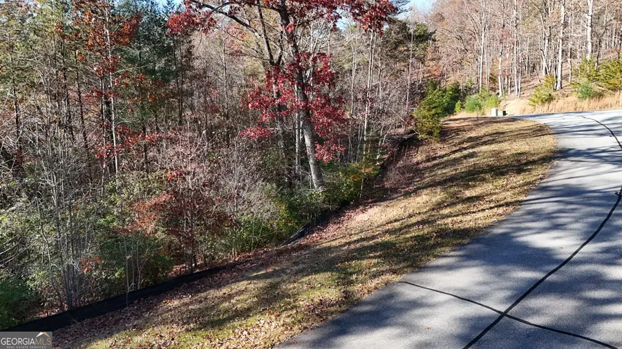 LOT 197 Springwinds Drive, Cleveland, GA 30528 - Image #2