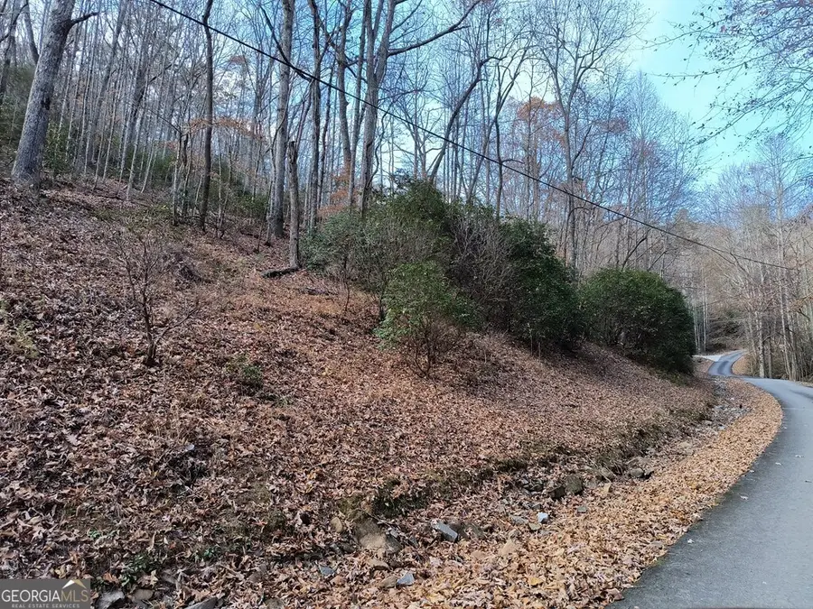 LOT 9 Cherokee Circle #9, Ellijay, GA 30536 - Image #2