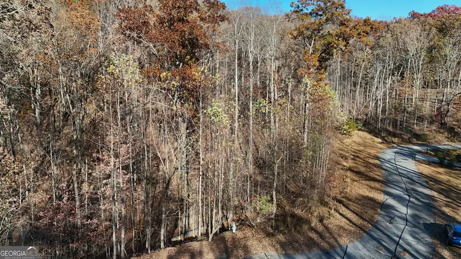 LOT 198 Northshore Drive, Cleveland, GA 30528 - Image #2
