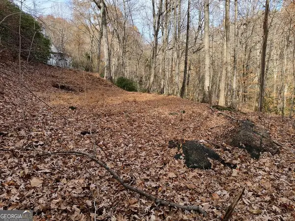 LOT 10 Cherokee Circle #10, Ellijay, GA 30540