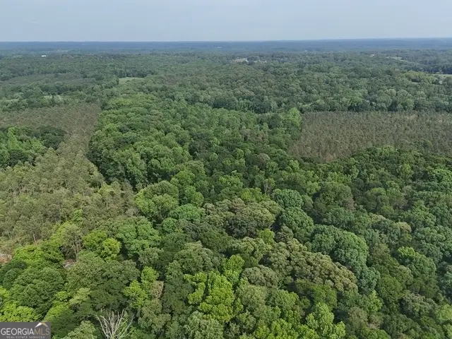 0 Watkins Trail #TRACT 22, Nicholson, GA 30565 - Image #3