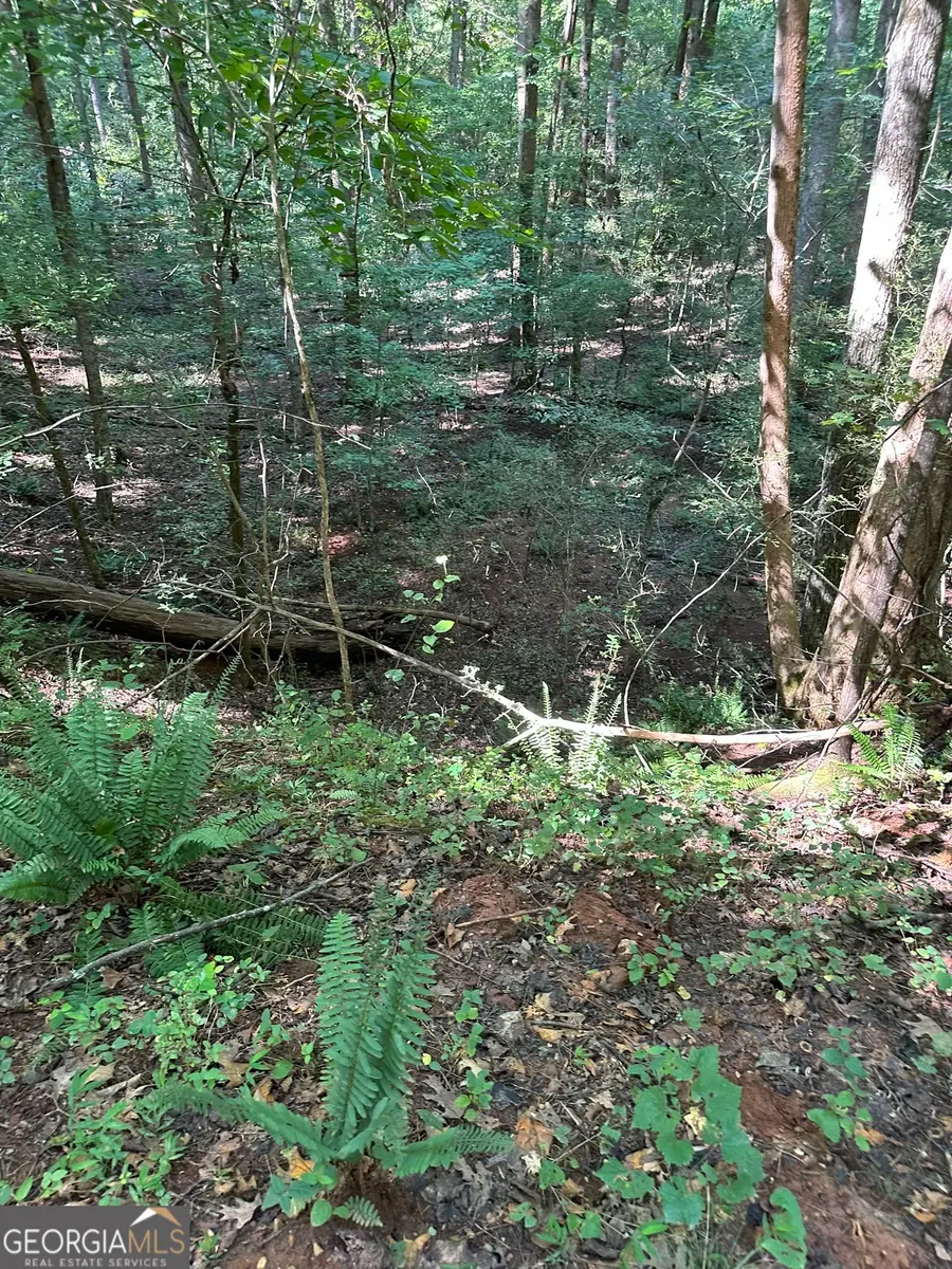 0 Fears Road, Madison, GA 30650 - Image #3