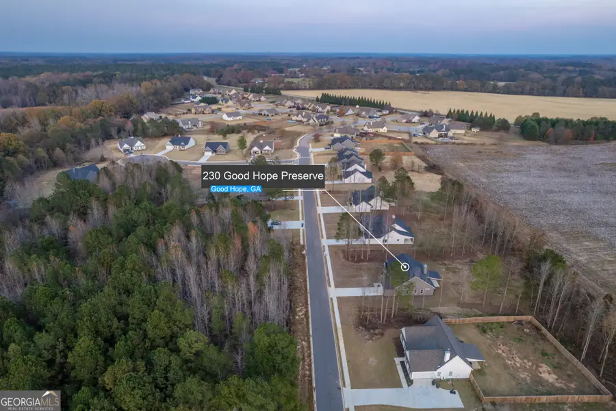 230 Good Hope Preserve, Good Hope, GA 30641 - Image #2