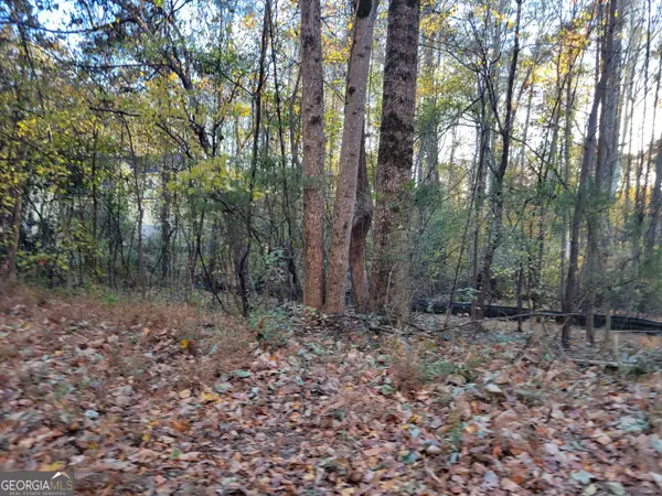 5008/4998 Hidden Branch Drive, Sugar Hill, GA 30518