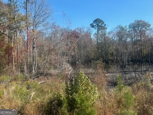 (TRACT 7) J D Williams Road, Cadwell, GA 31009 - Image #1