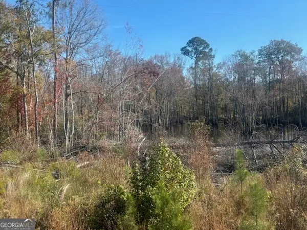 (TRACT 7) J D Williams Road, Caldwell, GA 31009