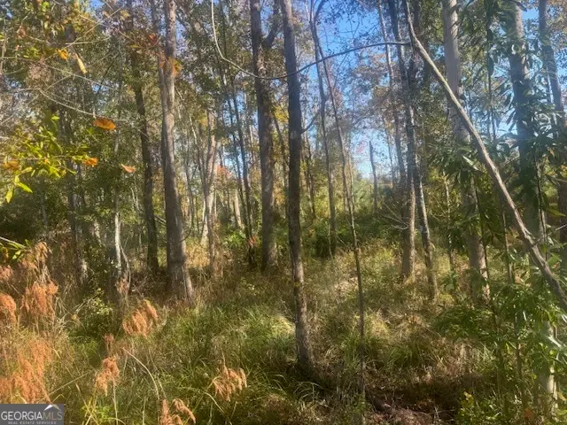 (TRACT 7) J D Williams Road, Cadwell, GA 31009 - Image #2