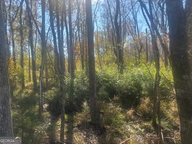 (TRACT 7) J D Williams Road, Cadwell, GA 31009 - Image #3