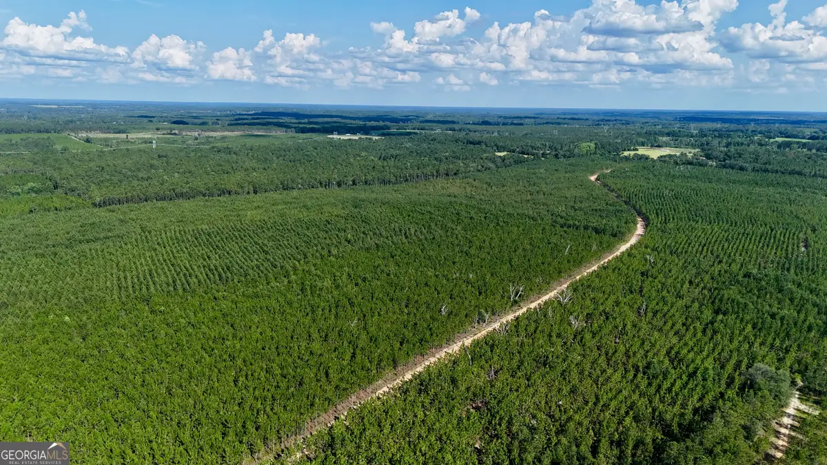 0 Penny Morris Road, Baxley, GA 31513 - Image #1