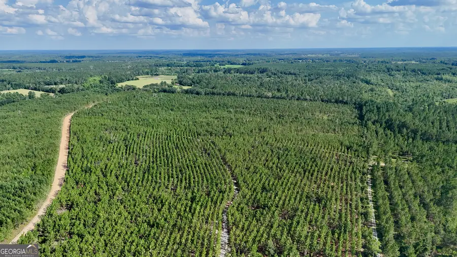 0 Penny Morris Road, Baxley, GA 31513 - Image #2