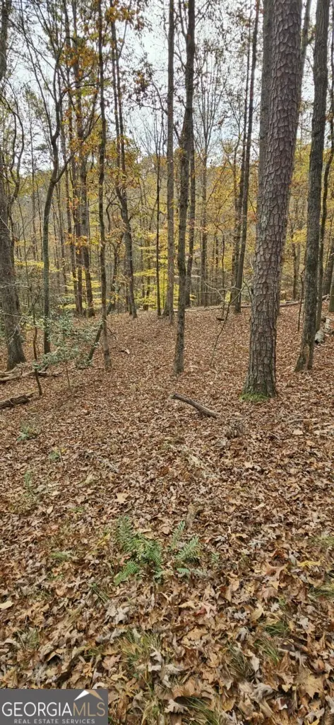 0 N Falling Waters Drive #LOT 32B, Demorest, GA 30535 - Image #2