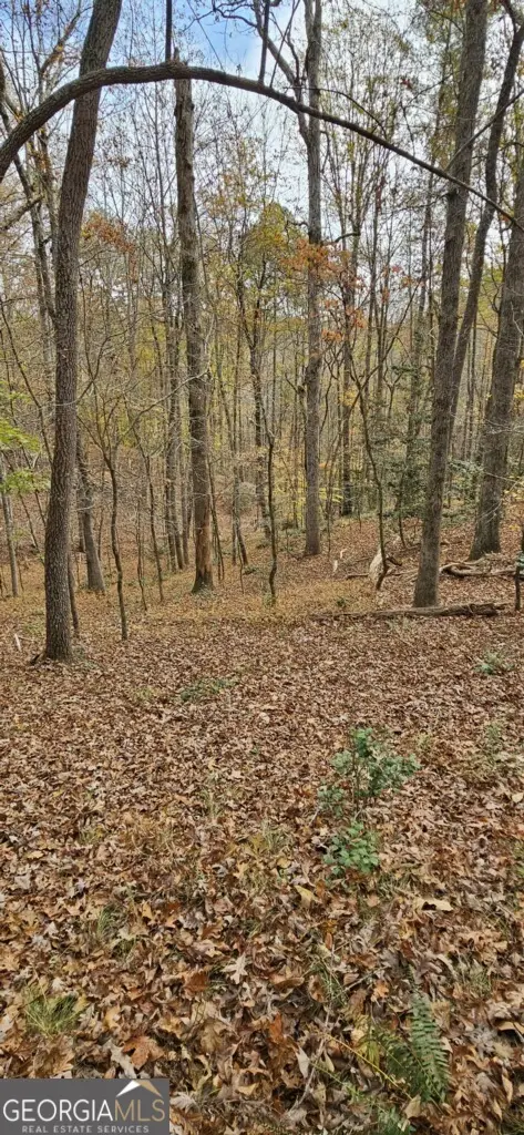 0 N Falling Waters Drive #LOT 32B, Demorest, GA 30535 - Image #3