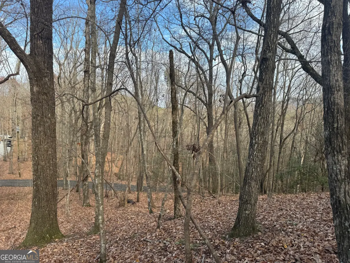 0 Geneva Place, Sautee Nacoochee, GA 30571 - #1