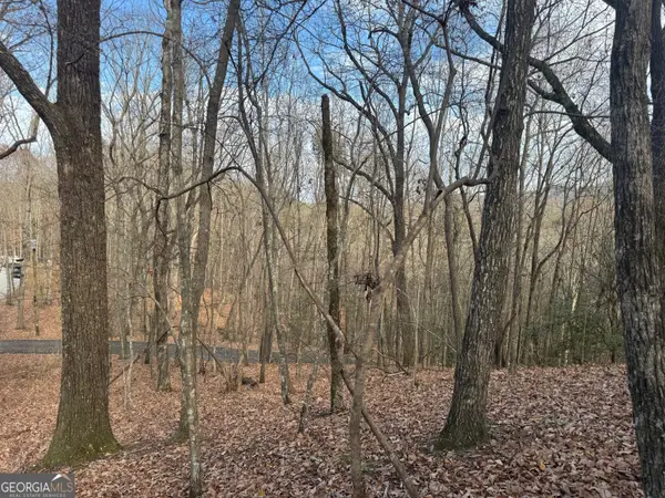 0 Geneva Place, Sautee Nacoochee, GA 30571