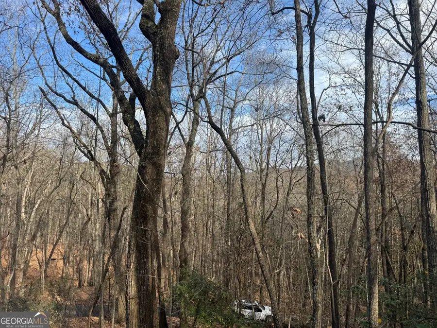 0 Geneva Place, Sautee Nacoochee, GA 30571 - #2