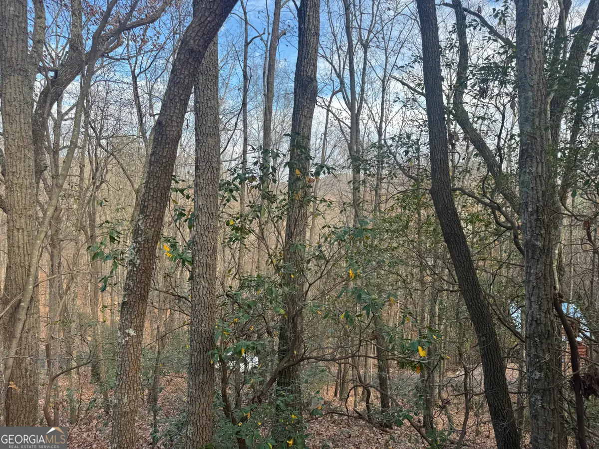 0 Geneva Place, Sautee Nacoochee, GA 30571 - Image #1