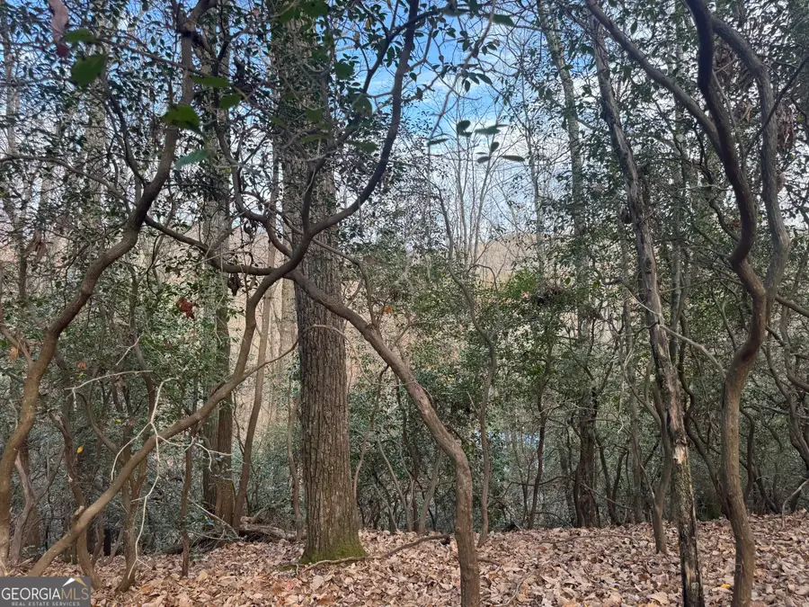 0 Geneva Place, Sautee Nacoochee, GA 30571 - Image #2