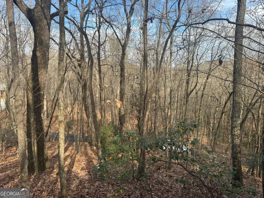 0 Geneva Place, Sautee Nacoochee, GA 30571 - Image #3