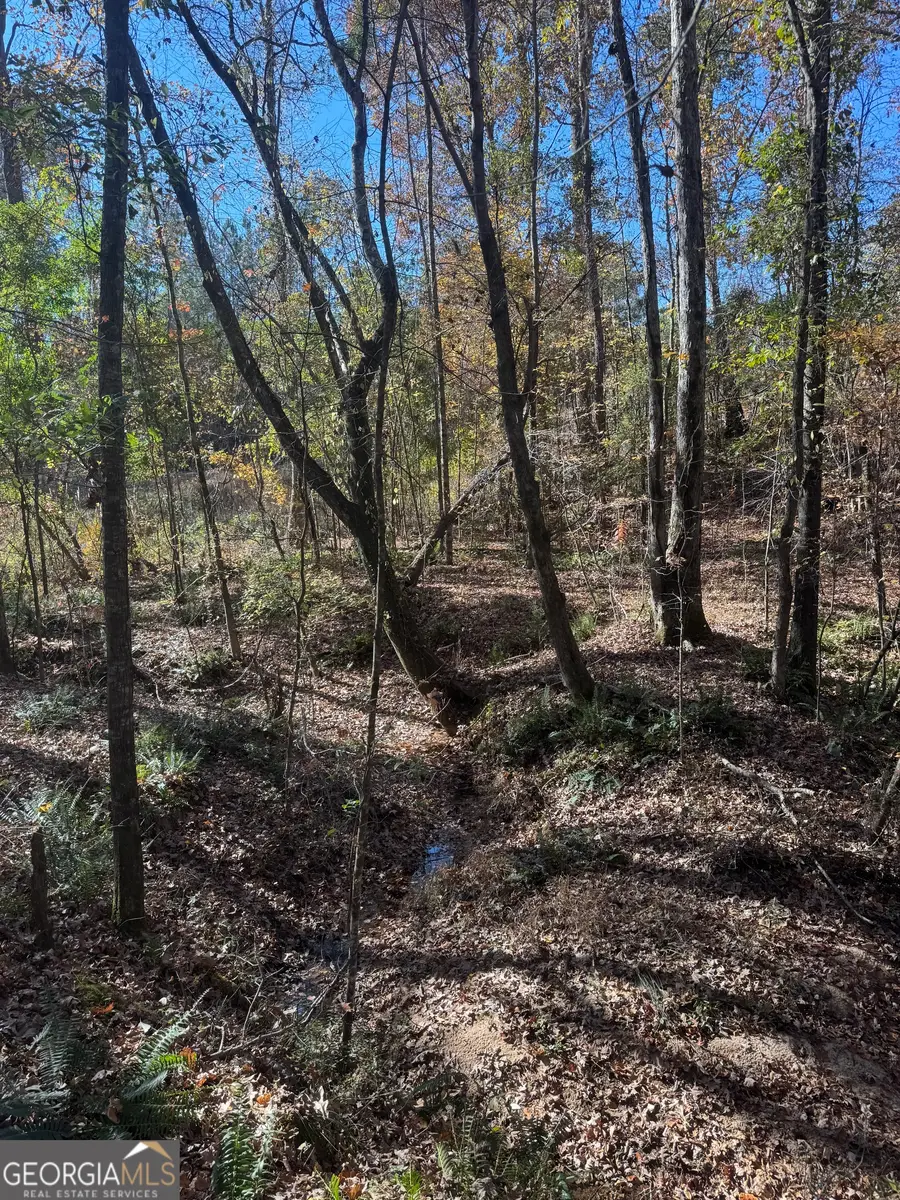 4517 Hwy 18, West Point, GA 31833 - Image #2