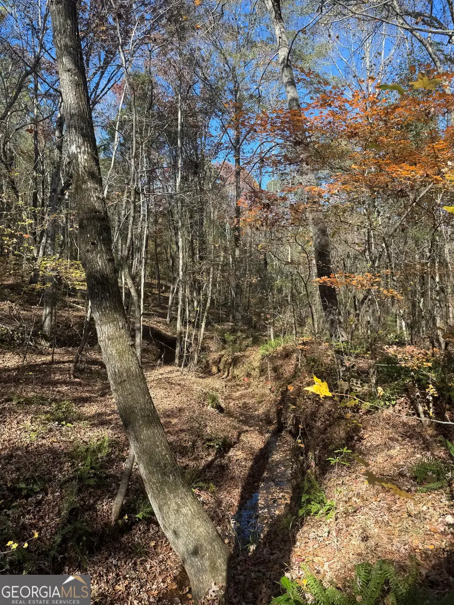 4523 Hwy 18, West Point, GA 31833 - Image #2