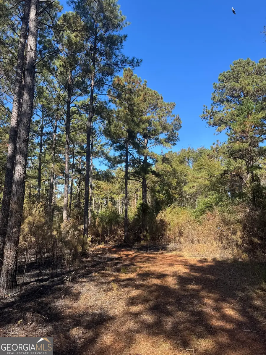 131 W Drummond Road, West Point, GA 31833 - Image #3