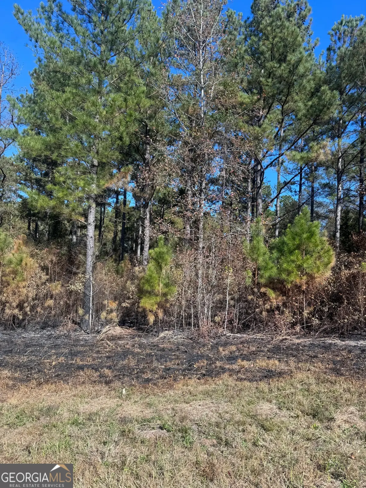 137 W Drummond Road, West Point, GA 31833 - Image #1