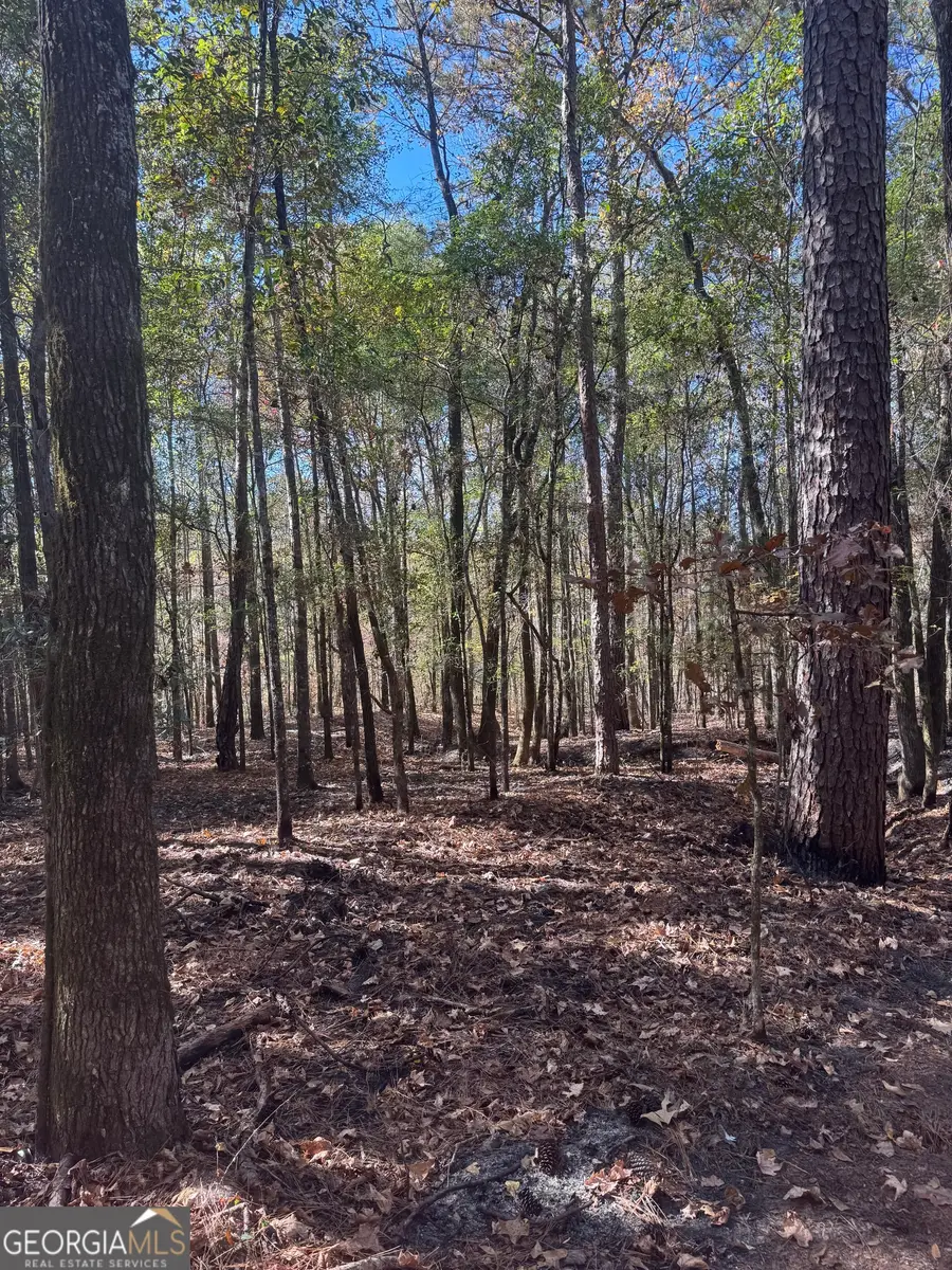 137 W Drummond Road, West Point, GA 31833 - Image #3