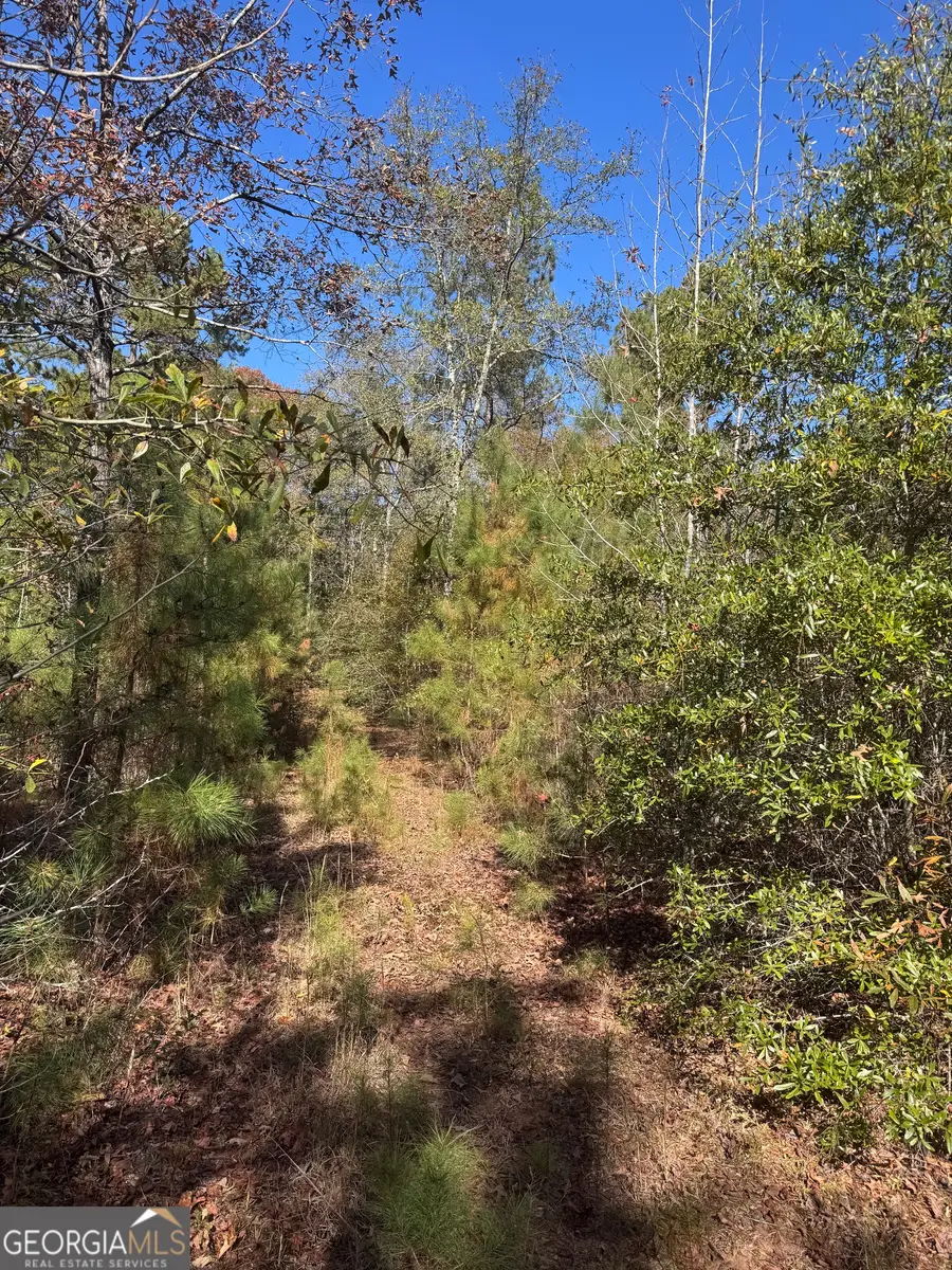 143 W Drummond Road, West Point, GA 31833 - Image #2