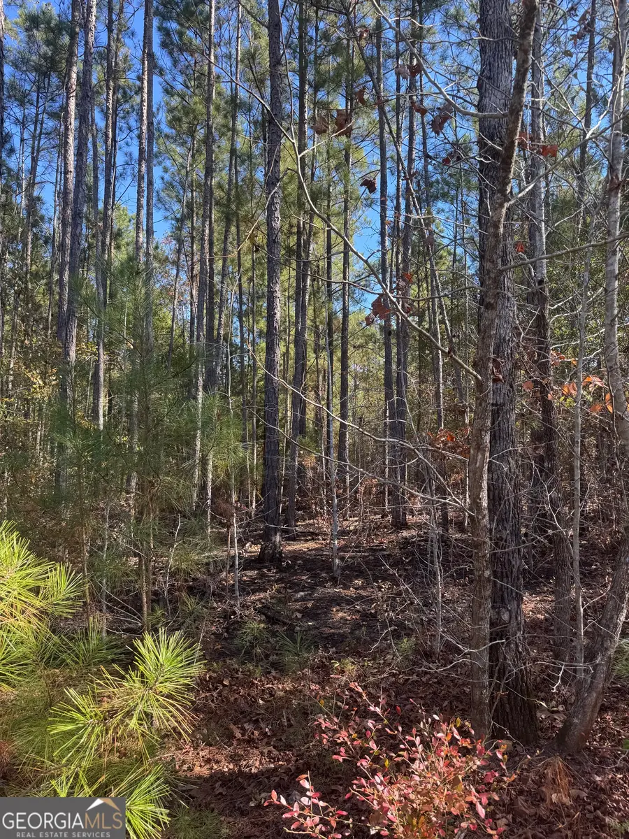 143 W Drummond Road, West Point, GA 31833 - Image #3