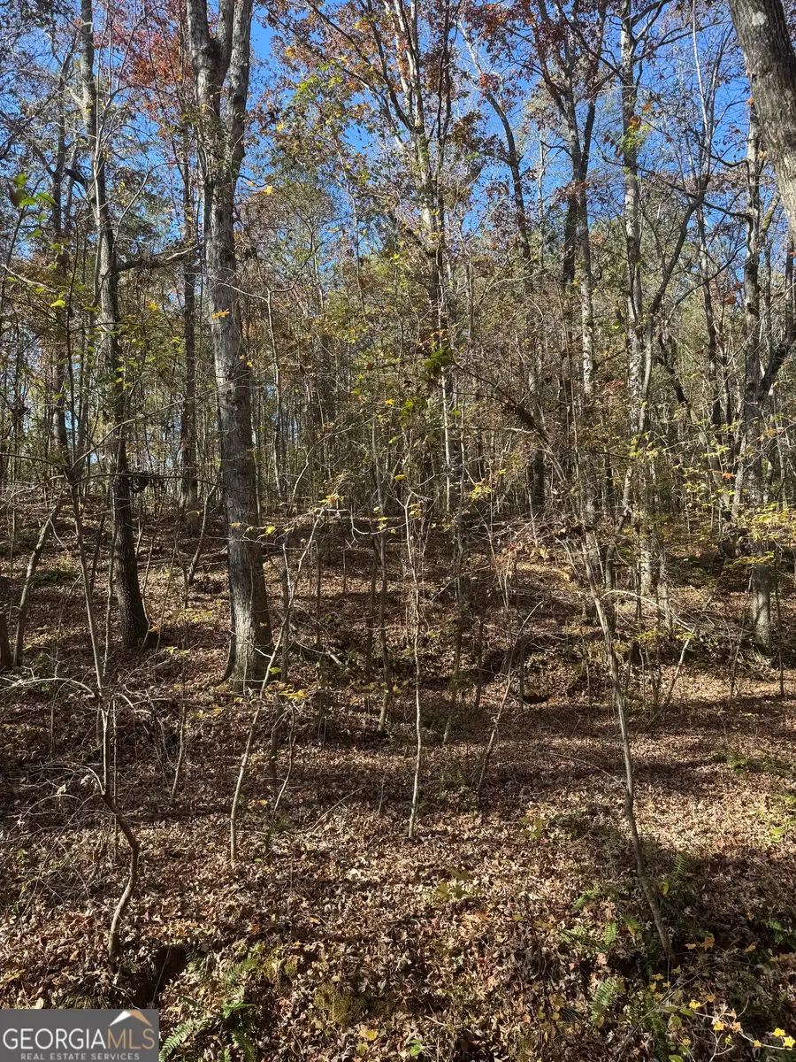 151 W Drummond Road, West Point, GA 31833 - Image #2