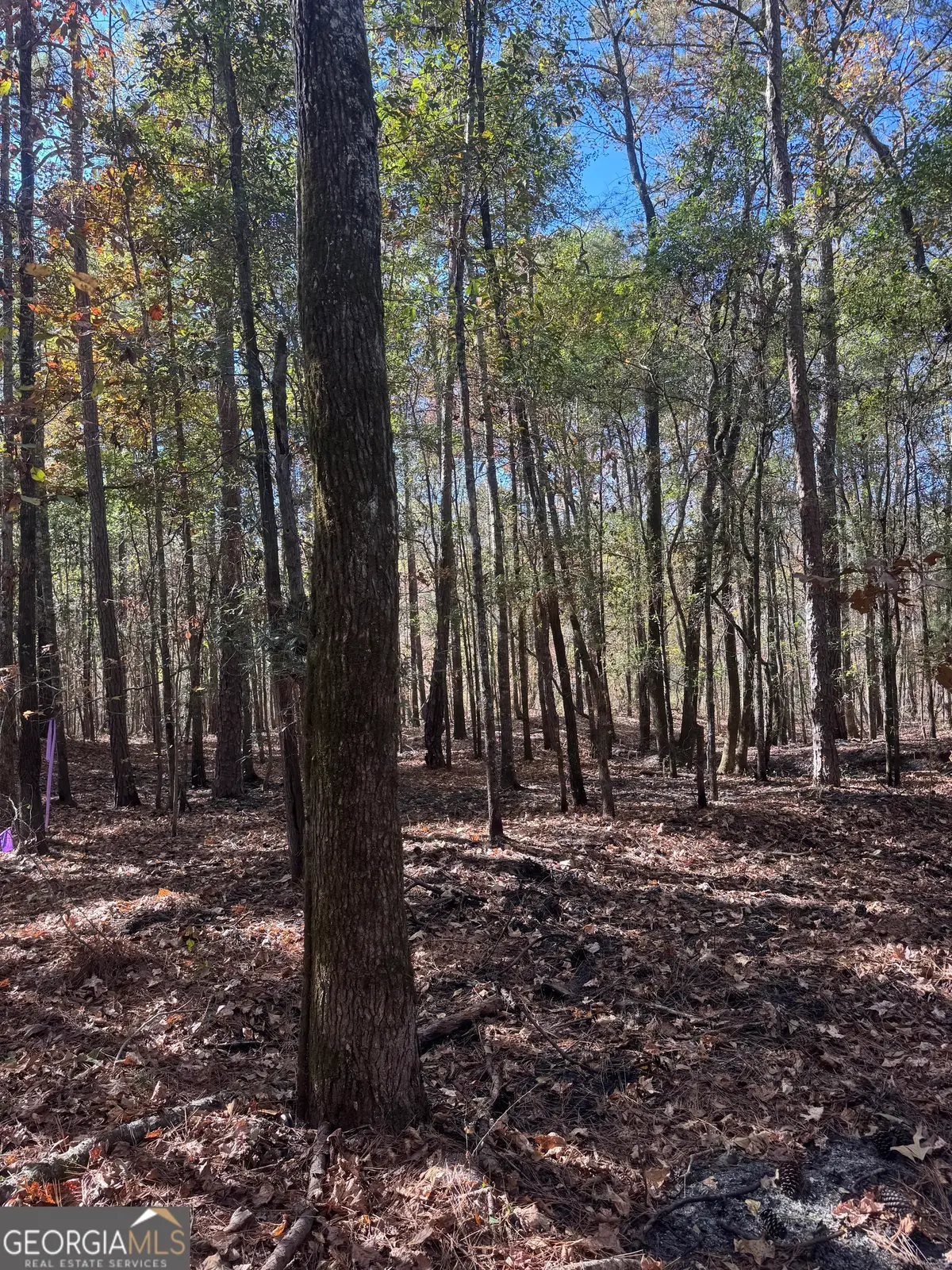 157 W Drummond Road, West Point, GA 31833 - Image #1