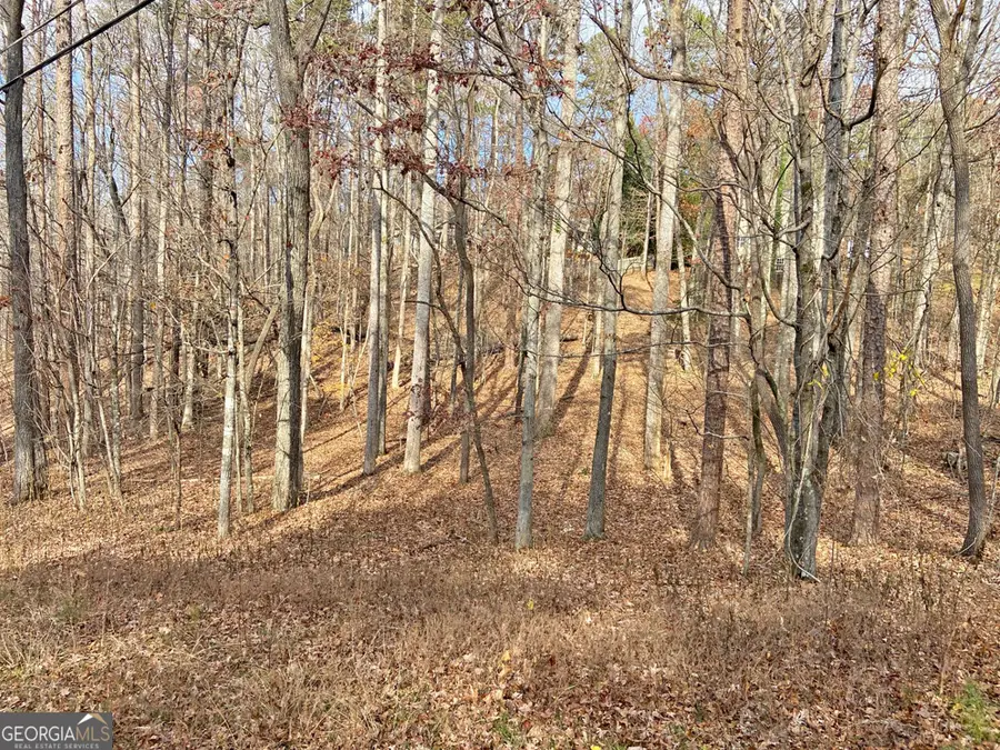 7511 Magnolia Lane, Murrayville, GA 30564 - Image #3