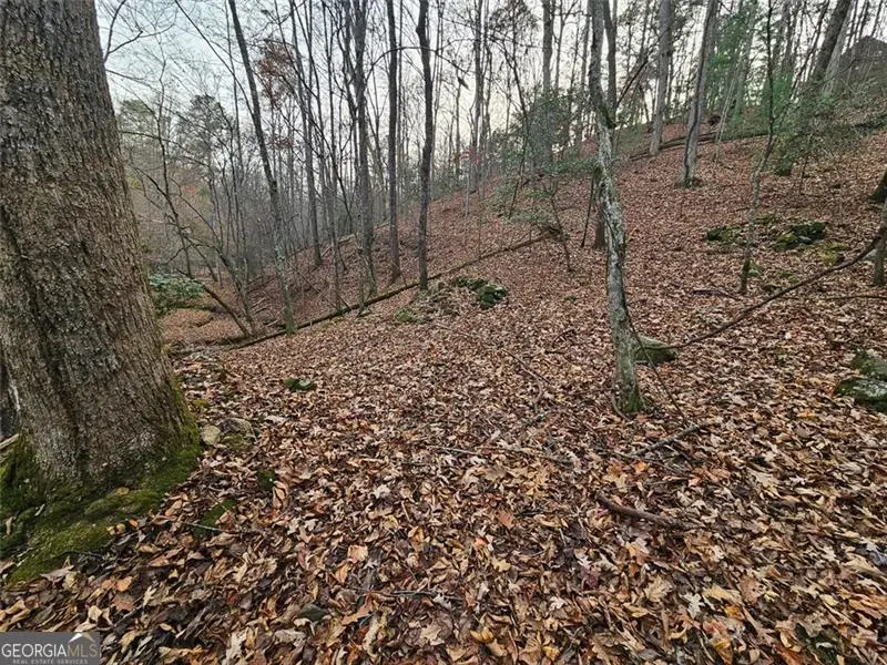 0 Garnet, Ellijay, GA 30540 - Image #2