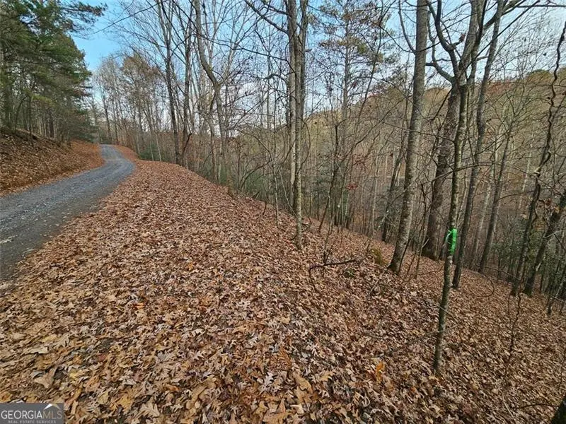 0 Garnet, Ellijay, GA 30540 - Image #3