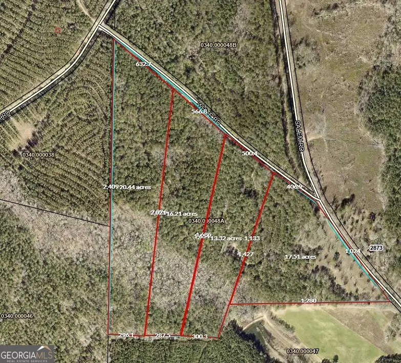 13+/- AC Salem Road, Pine Mountain, GA 31822 - Image #1
