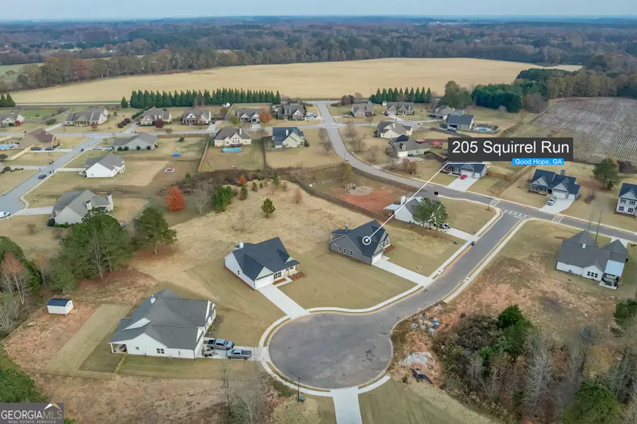 205 Squirrel Run, Good Hope, GA 30641 - Image #2