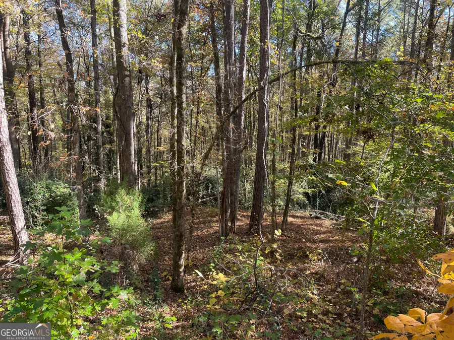 104 Sweetgum Drive, Lagrange, GA 30240 - Image #2