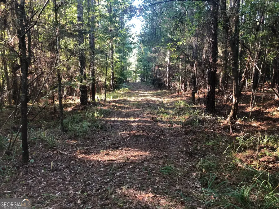 LOT 10 Triune Mill Road, Thomaston, GA 30286 - Image #2