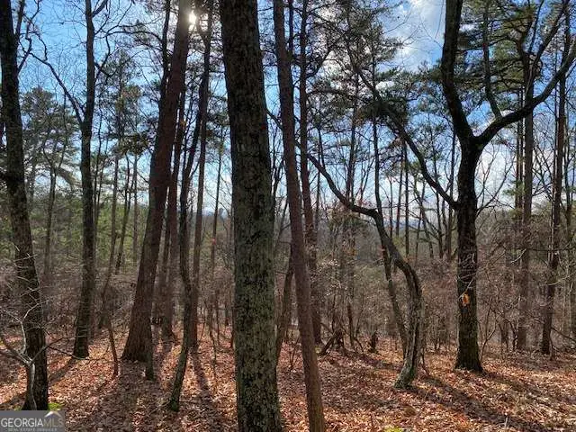 0 Quail Way #LOT 533, Jasper, GA 30143 - Image #2